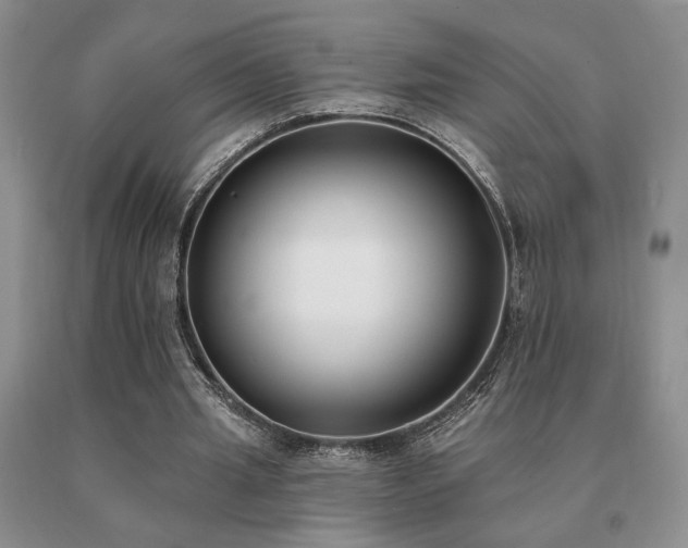 X0000091070437200708061305