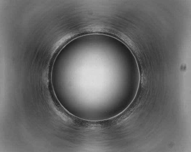 X0000091070438200708061305