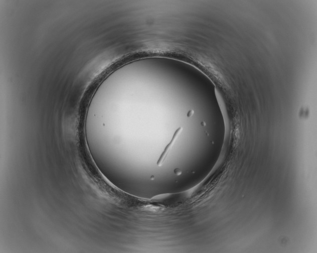 X0000091070440200708061305