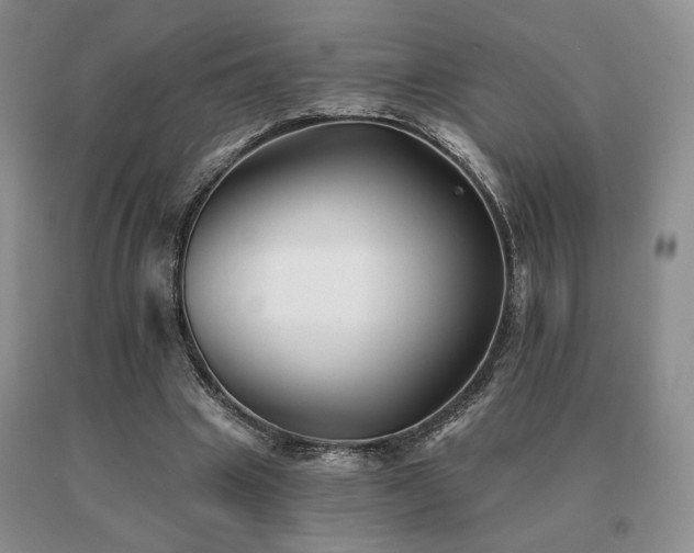 X0000091070441200708061305