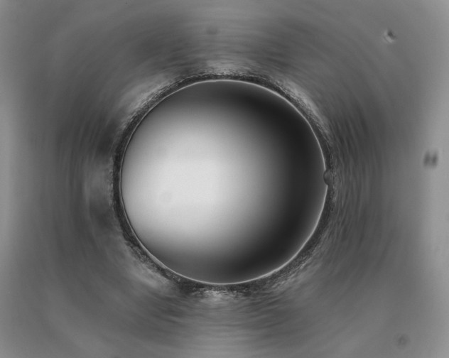 X0000091070442200708061305