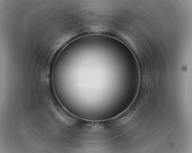 X0000091070443200708061305
