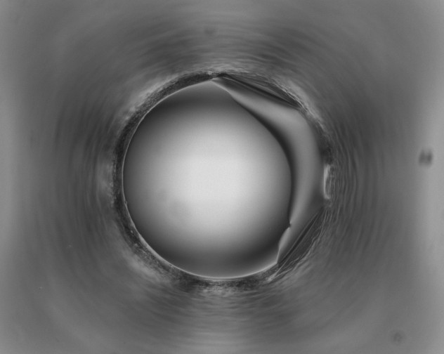 X0000091070444200708061305