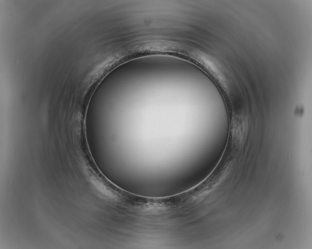 X0000091070445200708061305