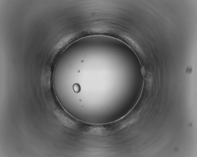 X0000091070446200708061305