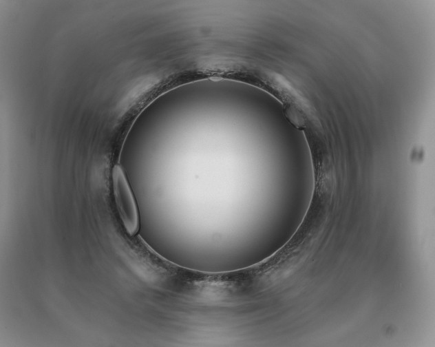 X0000091070448200708061305