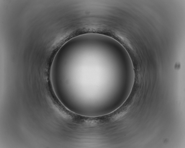 X0000091070450200708061305