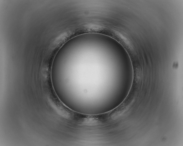 X0000091070451200708061305