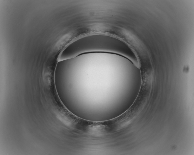 X0000091070452200708061305