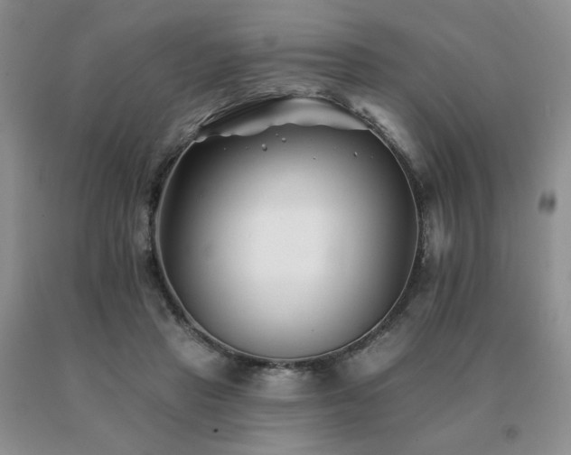 X0000091070453200708061305