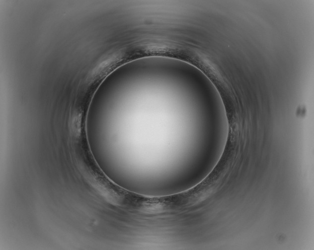 X0000091070454200708061305