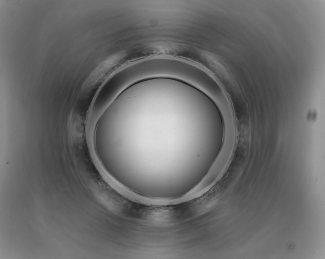 X0000091070456200708061305