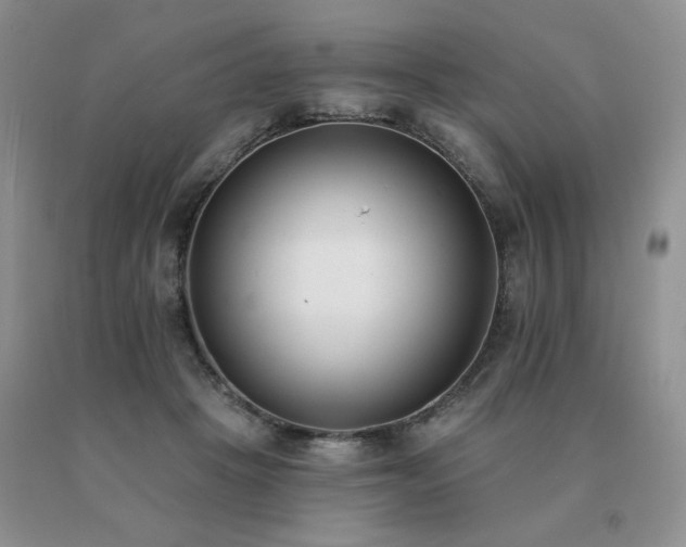 X0000091070457200708061305