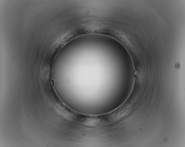 X0000091070458200708061305