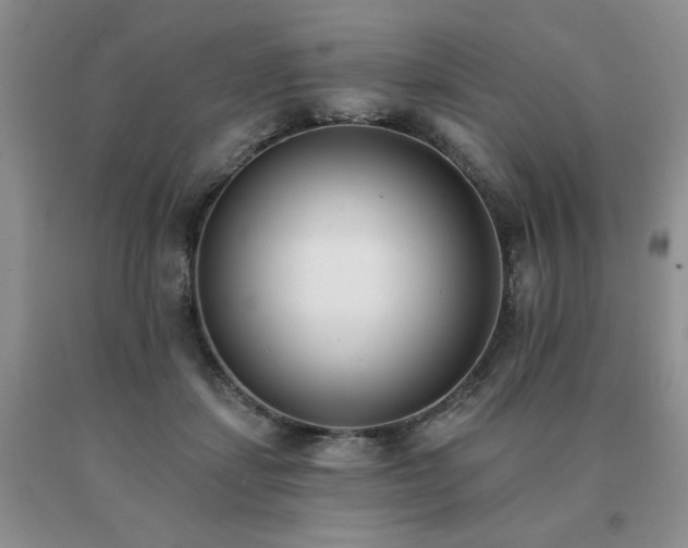 X0000091070459200708061305