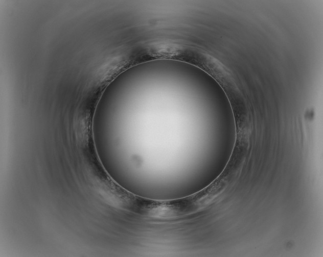 X0000091070460200708061305