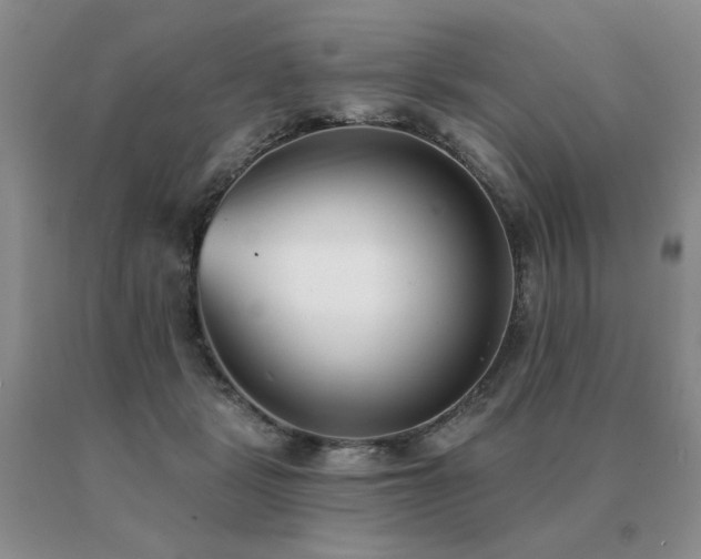 X0000091070461200708061305