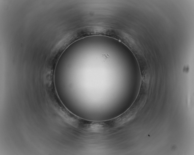 X0000091070462200708061305