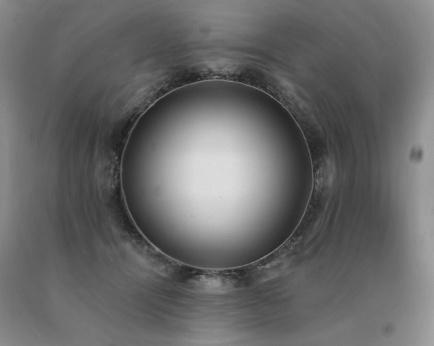 X0000091070464200708061305