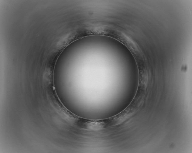 X0000091070465200708061305