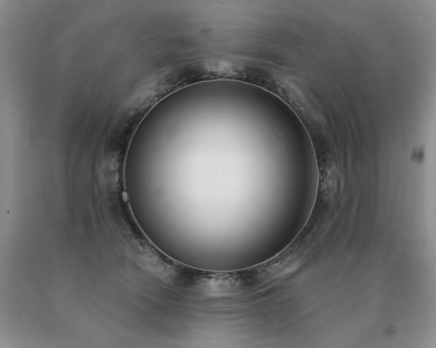 X0000091070466200708061305