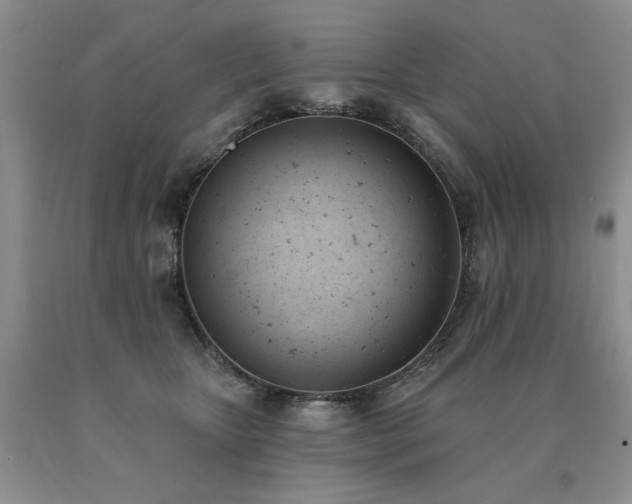 X0000091070467200708061305