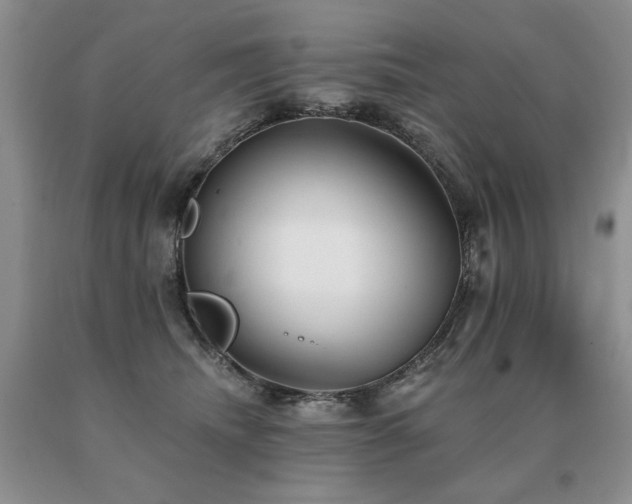 X0000091070468200708061305