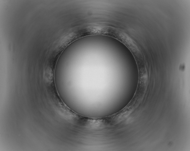 X0000091070469200708061305