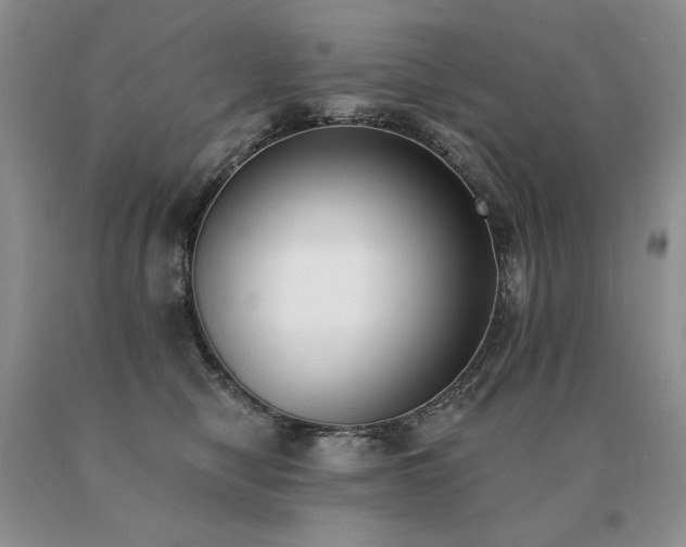 X0000091070470200708061305