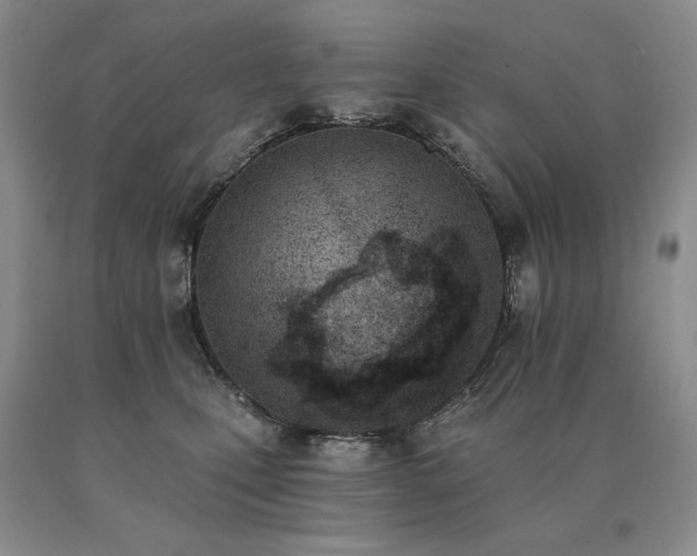 X0000091070471200708061305