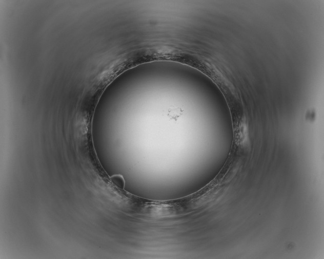 X0000091070472200708061305