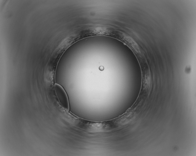 X0000091070473200708061305