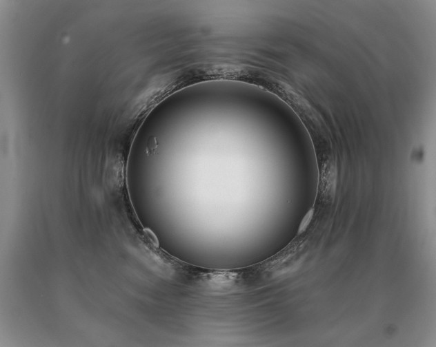 X0000091070474200708061305