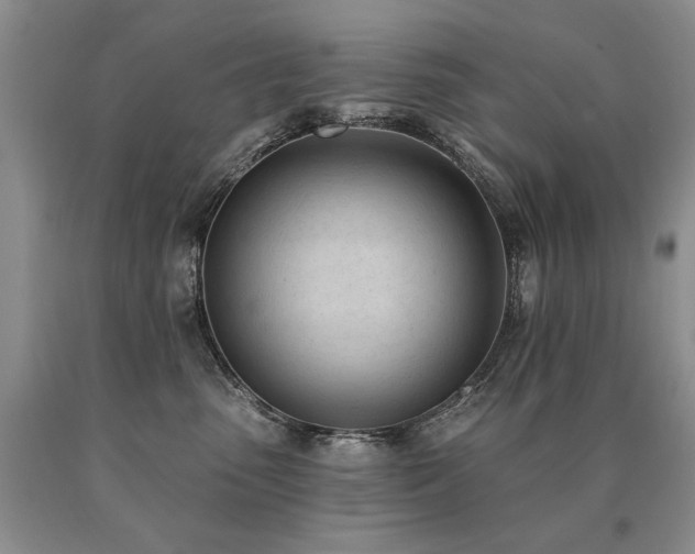 X0000091070475200708061305