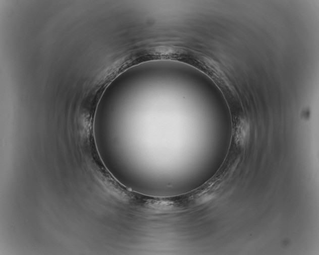 X0000091070476200708061305