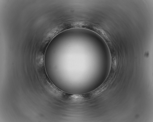 X0000091070477200708061305