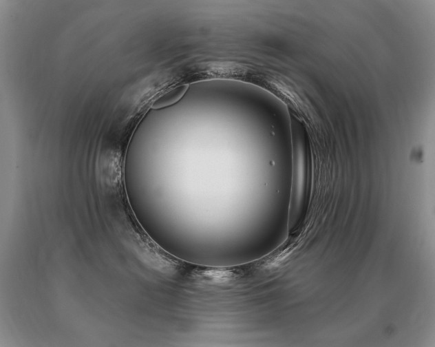 X0000091070478200708061305