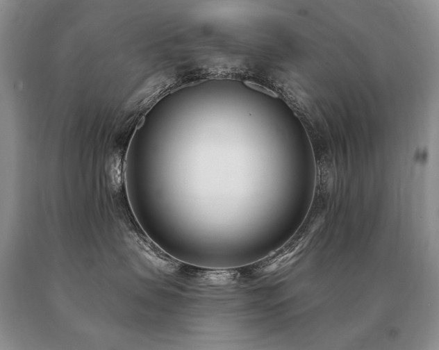 X0000091070479200708061305