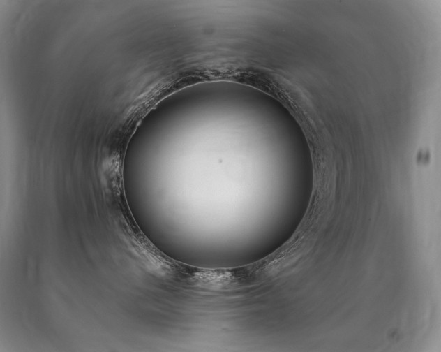X0000091070480200708061305
