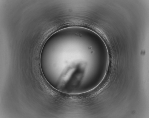 X0000091070481200708061305