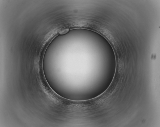 X0000091070482200708061305