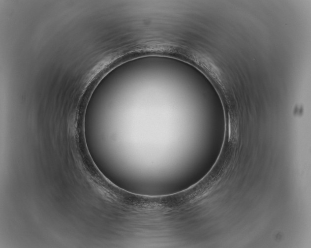 X0000091070483200708061305