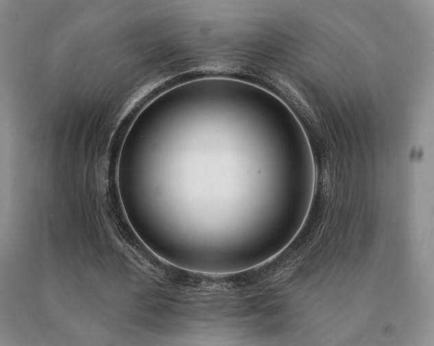 X0000091070484200708061305