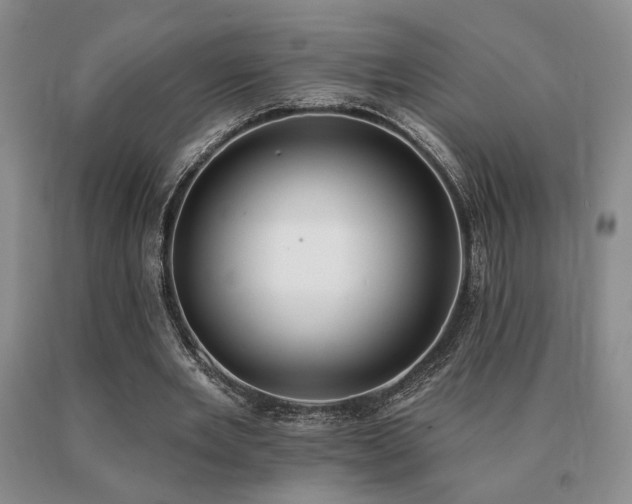 X0000091070485200708061305