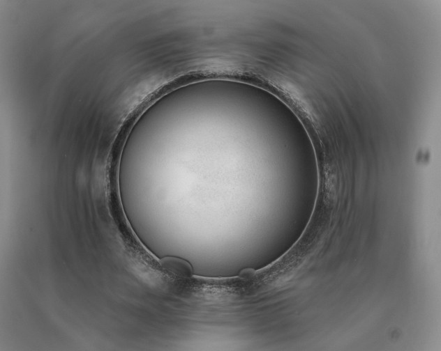 X0000091070487200708061305