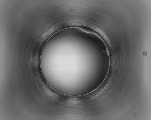 X0000091070489200708061305