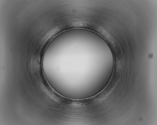 X0000091070490200708061305