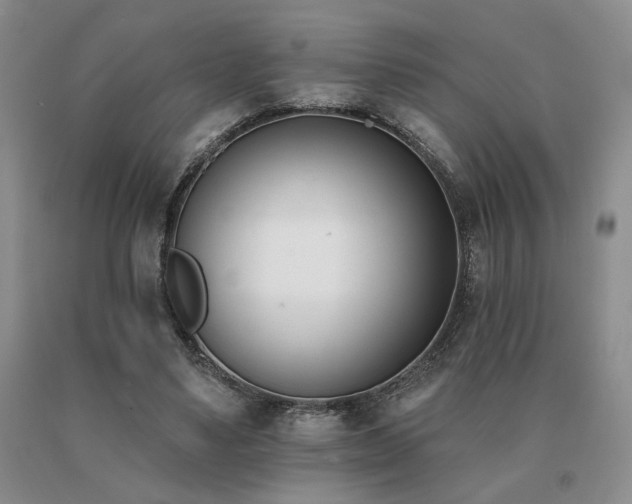 X0000091070491200708061305
