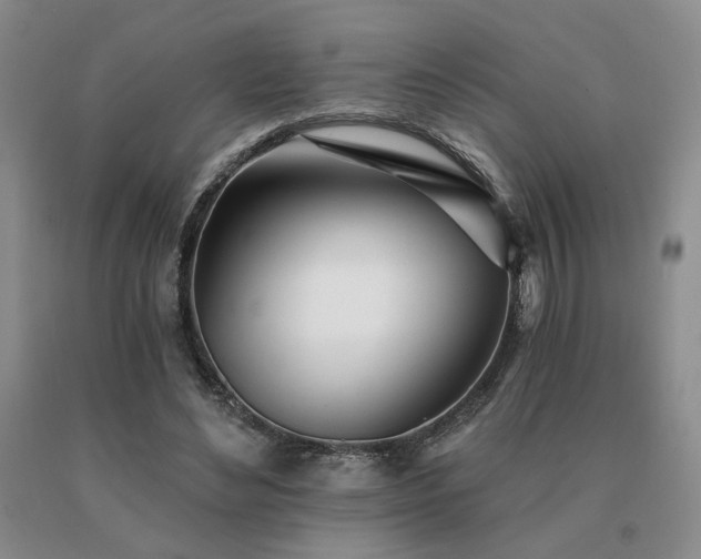 X0000091070492200708061305
