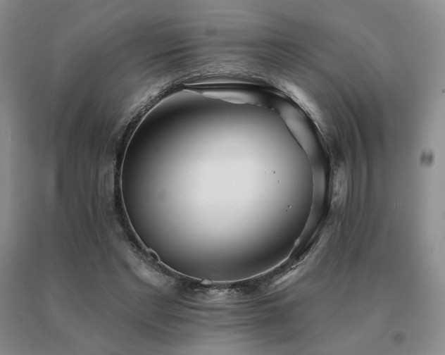X0000091070493200708061305